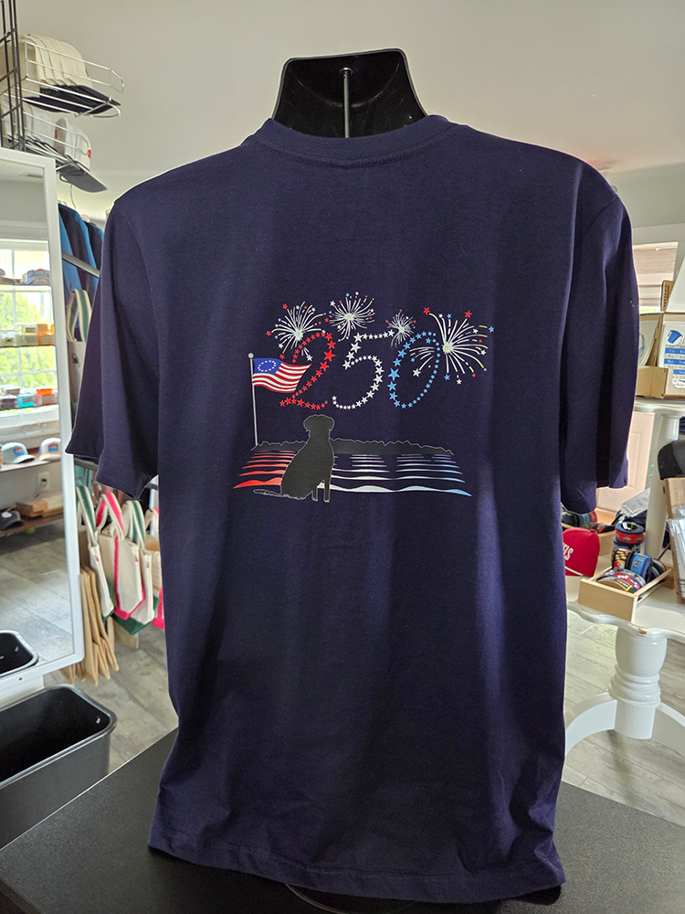 250 Navy T-Shirt