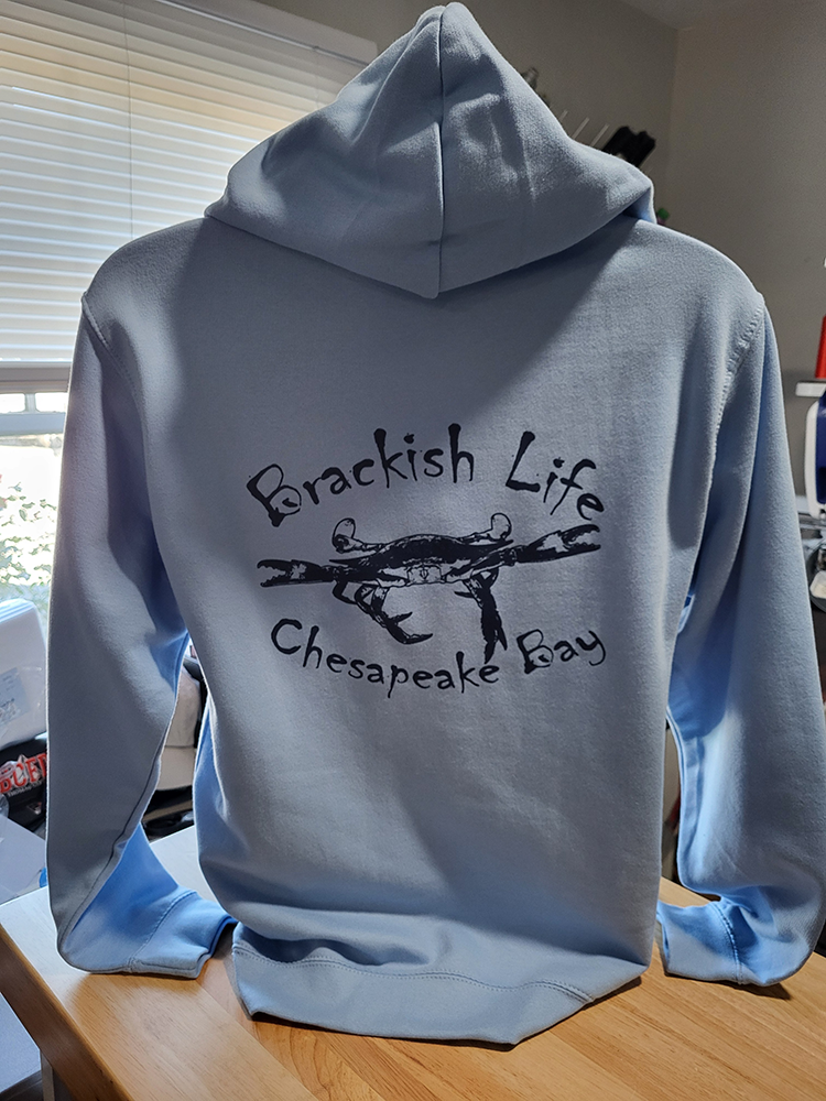 Brackish Life Sky Bue Hoodie