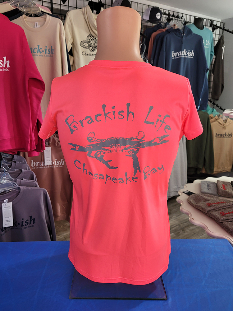 Ladies Coral Performance Silver Logo Short Sleeve V-Neck