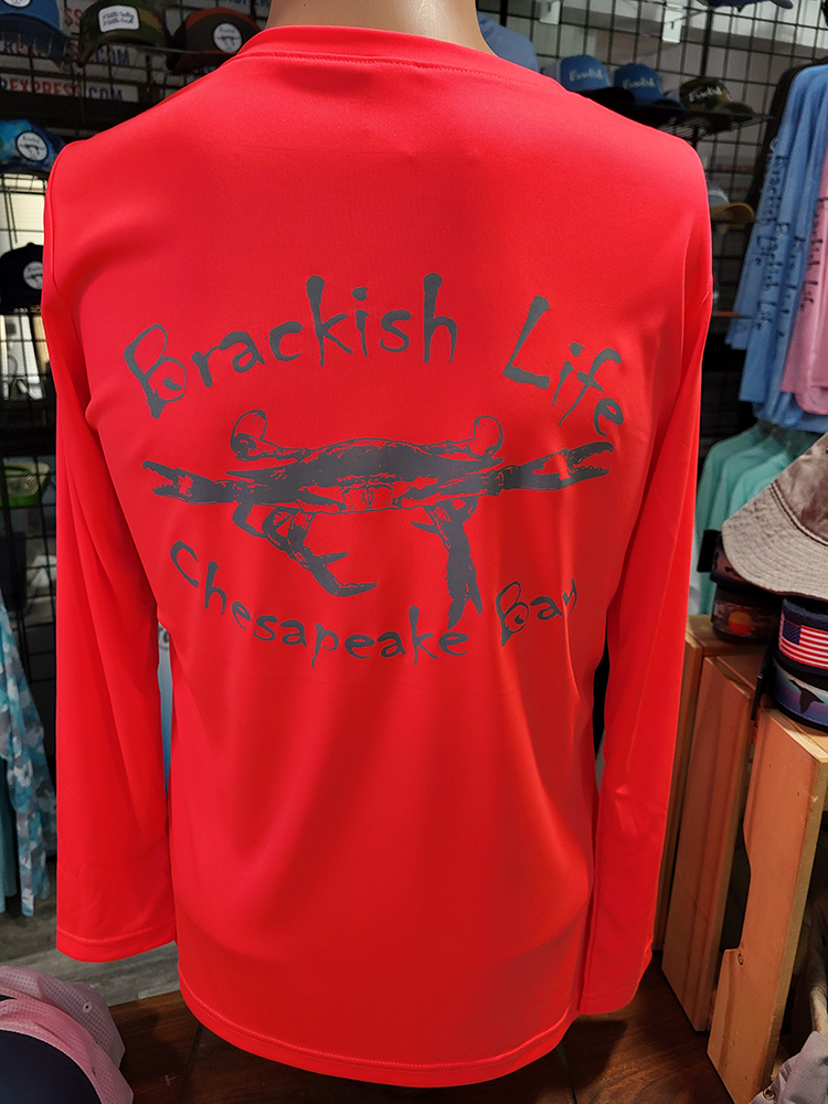 Coral Ladies Performance Long Sleeve V-Neck with Silver Brackish Definition