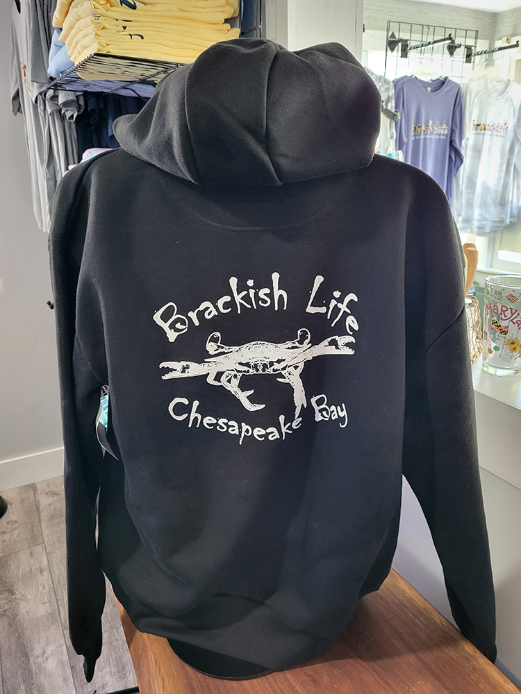 Black Cotton Hoodie
