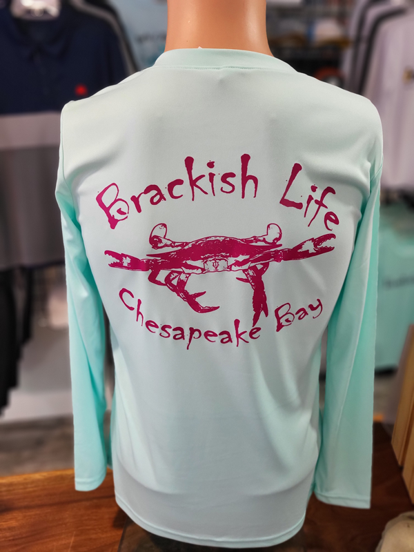 Seafoam Ladies Performance Long Sleeve V-Neck with Pink Brackish Definition