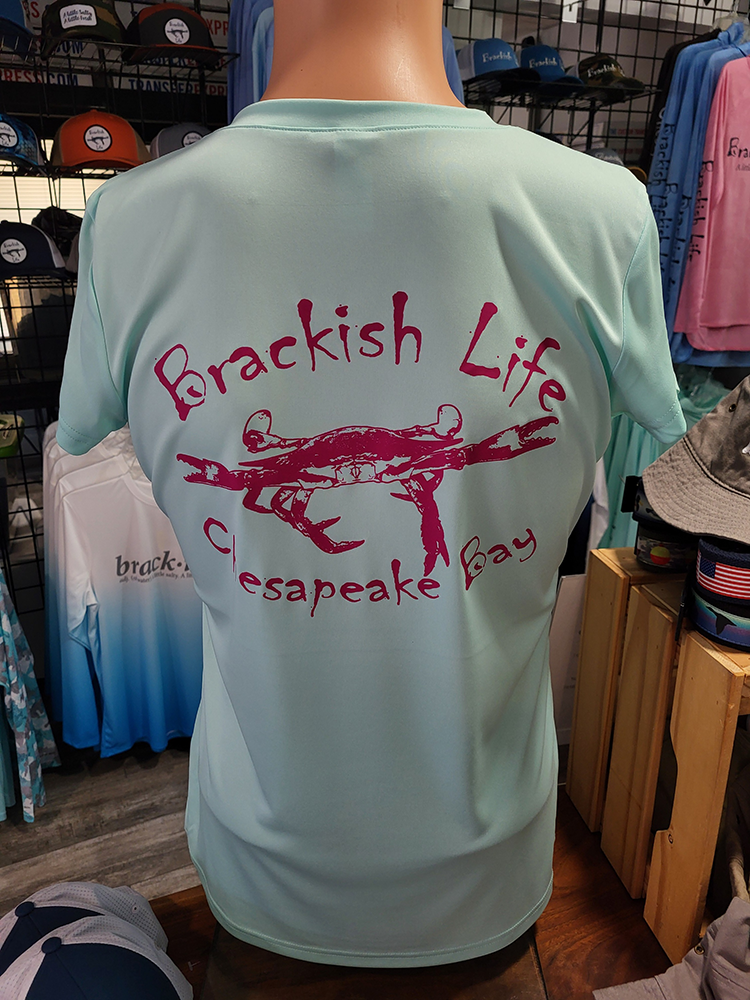 Seafoam with Pink Definition Ladies Performance Short Sleeve V-Neck