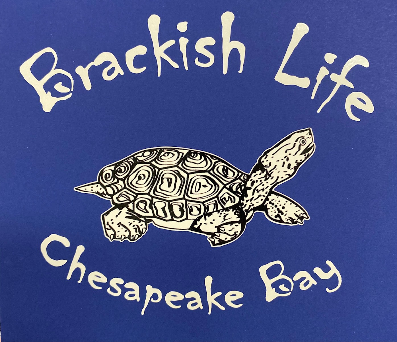 Diamondback Terrapin Brackish Life Decal