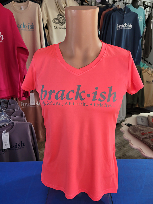 Ladies Coral Performance Silver Logo Short Sleeve V-Neck