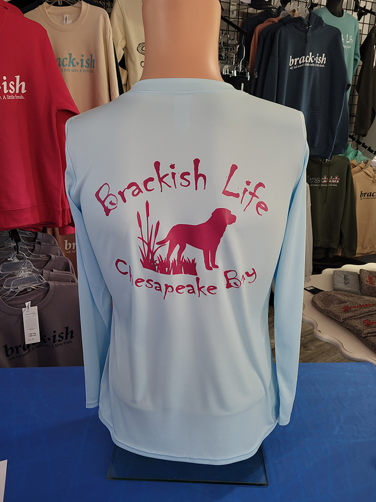 Ice Blue Ladies Performance Long Sleeve V-Neck with Pink Brackish Definition