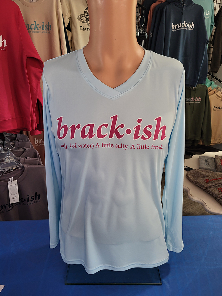 Ice Blue Ladies Performance Long Sleeve V-Neck with Pink Brackish Definition