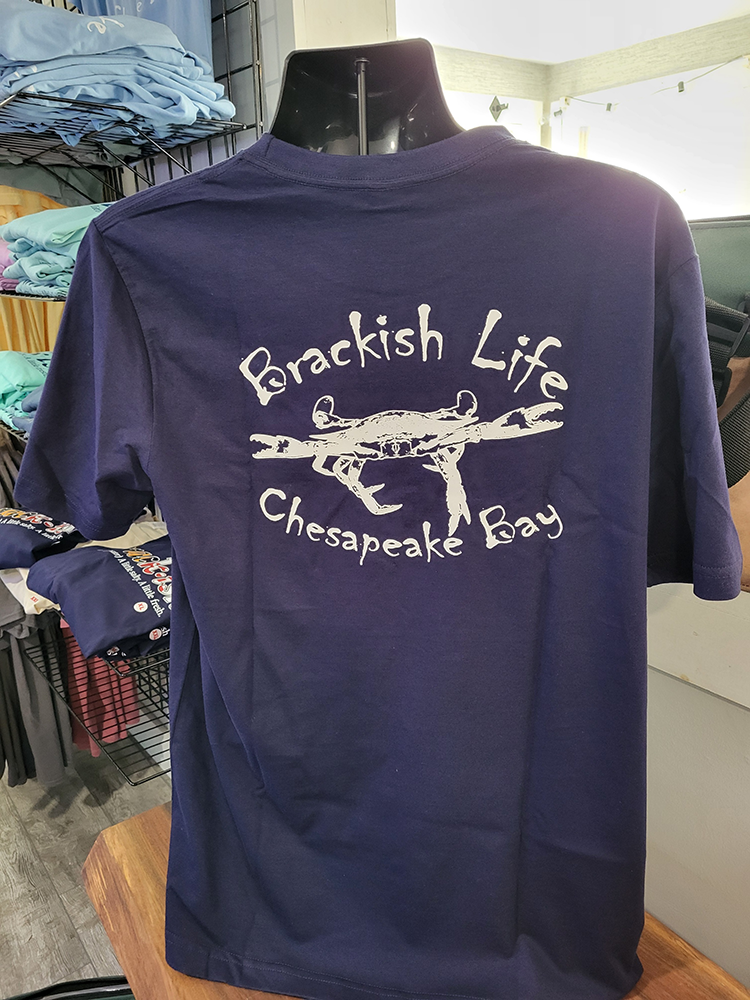 Navy 100% Cotton T-Shirt