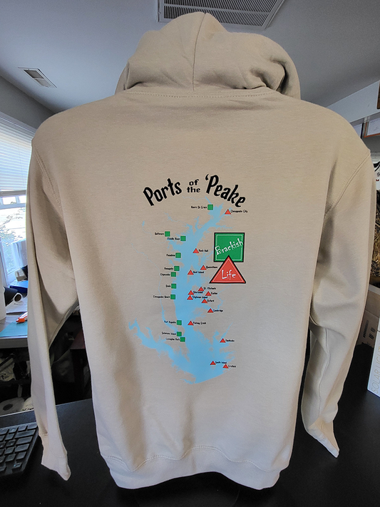 Brackish Life Stone Hoodie