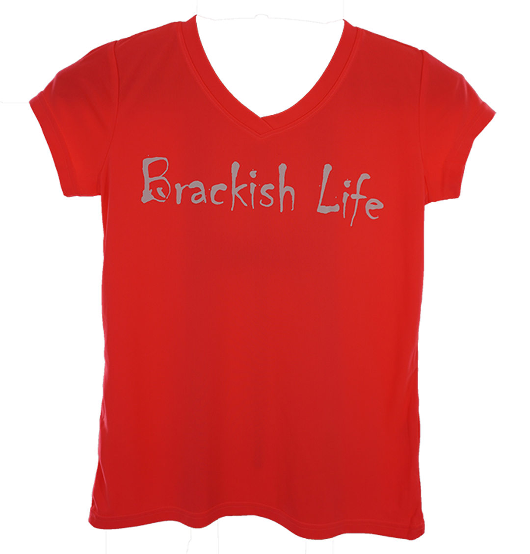 Ladies Performance White Logo Short Sleeve V-Neck