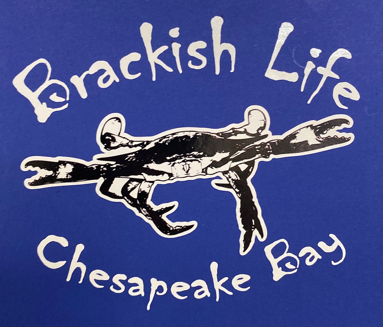 Blue Crab Decal