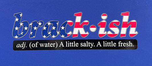 American Flag Logo with our Slogan